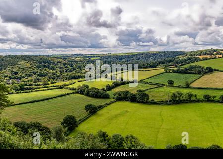 Vista estiva guardando attraverso la Torridge Valley verso RHS Rosemoor e Beaford con Fields e Heavy Cloudy Sky, Great Torrington, Devon, Foto Stock