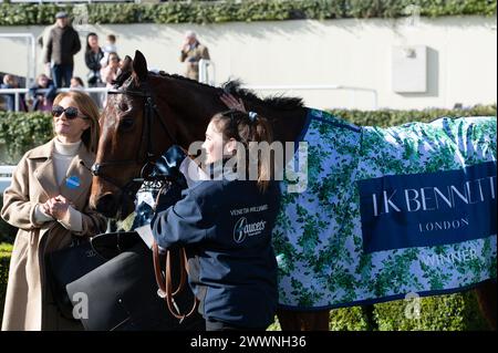 Ascot, Berkshire, Regno Unito. 24 marzo 2024. Horse Martator (n. 4) guidato dal fantino Charlie Deutsch, vincitore del LK Bennett handicap Steeple Chase al Spring Family Raceday all'Ascot Racecourse. Proprietaria Camillia Norton, Trainer Venetia Williams, Hereford, Sponsor Faucets Limited. Crediti: Maureen McLean/Alamy Live News Foto Stock