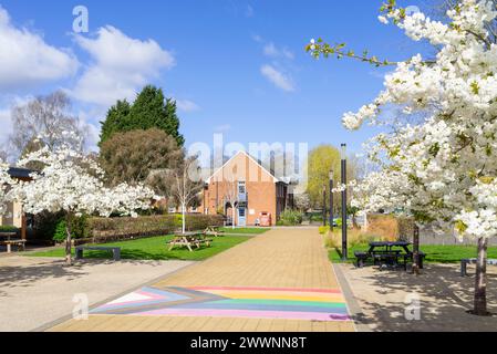 Sutton Bonnington Campus Trees with Blossom University of Nottingham University Sutton Bonnington Leicestershire Inghilterra Regno Unito GB Europa Foto Stock