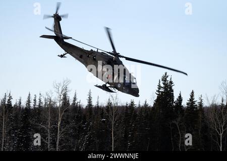 Un elicottero UH-60L Black Hawk della Guardia Nazionale dell'Alaska si avvicina ad una zona di atterraggio mentre supporta l'addestramento con carico di imbracatura alla Joint base Elmendorf-Richardson, 28 febbraio 2024. I soldati dell'esercito degli Stati Uniti dell'Alaska Army National Guard Aviation Battalion hanno condotto l'addestramento con le fionde per migliorare la loro capacità di operare nell'ambiente duro dell'Alaska. (Alaska National Guard Foto Stock