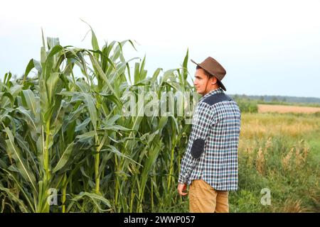 Coltivatore di mais maschile calmo caucasico in passeggiate lungo il campo di mais. Copia spazio. Coltivatore di mais maschio caucasico che cammina tranquillamente attraverso un campo di mais. Foto Stock