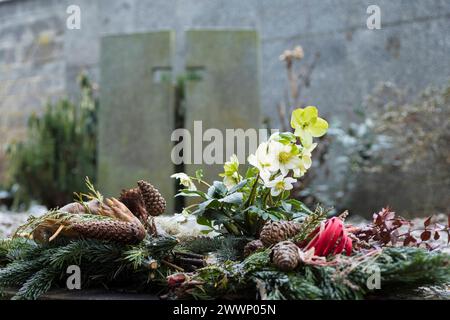 Christrose Helleborus niger in Blüte zwischen Gestecken auf einem Grab, im Hintergrund ein Kreuz im Grabstein, Friedhof Riesa, Sachsen, Deutschland ** Foto Stock