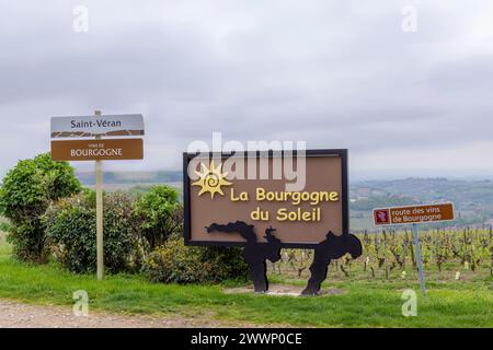 Strada del vino vicino a Saint-Veran e Macon, Borgogna, Francia Foto Stock