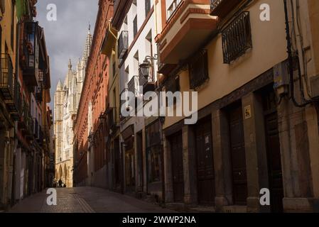 Calle Mariano Domínguez Berrueta hacia la catedral Foto Stock