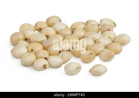 Semi di sorgo isolati su sfondo bianco con piena profondità di campo. Foto Stock