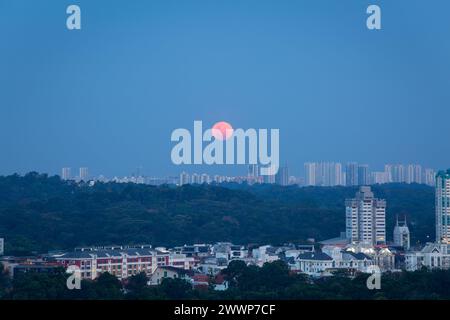 25 marzo 2024. La luna dei vermi di colore arancione si innalza sul paesaggio urbano di Singapore, nel sud-est asiatico. Foto Stock