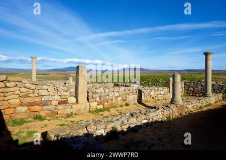 Colonne nell'insediamento celtiberiano a Garray, provincia di Soria, Castilla Leon in Spagna. Foto Stock