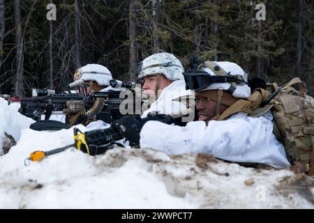 I soldati dell'esercito degli Stati Uniti assegnati al 3rd Battalion, 509th Infantry Regiment, 11th Airborne Division, affrontano le forze blu come forza avversaria durante il Joint Pacific Multinational Readiness Center (JPMRC) 24-02 presso Donnelly Training area, Alaska, 20 febbraio 2024. JPMRC 24-02 facilita una serie di opportunità per forze combinate, congiunte e di servizio di sviluppare e testare capacità operative artiche, a differenza di qualsiasi altro impianto di addestramento al mondo. Esercito Foto Stock