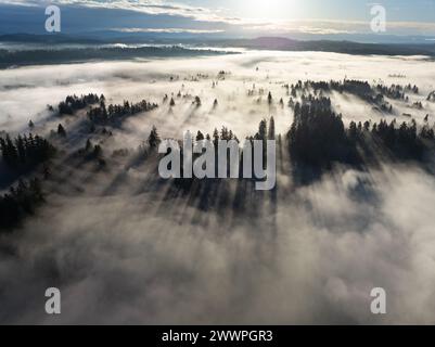 La luce del sole di prima mattina illumina la nebbia che si è insediata nella Willamette Valley nel Pacifico nord-occidentale, non lontano a sud di Portland, Oregon. Foto Stock