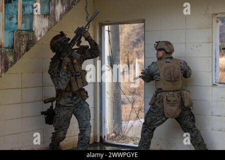 U.S. Marine Corps Lance Cpl. Hayden Sutton, a sinistra, e Lance Cpl. Julian Zuniga, a destra, liberate una stanza durante Korea Viper 24,1 a Camp Mujuk, Repubblica di Corea, 7 febbraio 2024. L'addestramento per le operazioni urbane rafforza la competenza dei Marines nella navigazione e nell'impegno su terreni urbani, garantendo la prontezza attraverso un addestramento realistico di scenari di combattimento ravvicinati. Nella sua prima iterazione, Korea Viper dimostra la capacità del ROK-US Marine Corps di rispondere in modo decisivo nella regione come una forza unica e unificata, rafforzando al contempo le relazioni e la fiducia tra i due alleati. Sutton e Zuniga, nativi Foto Stock