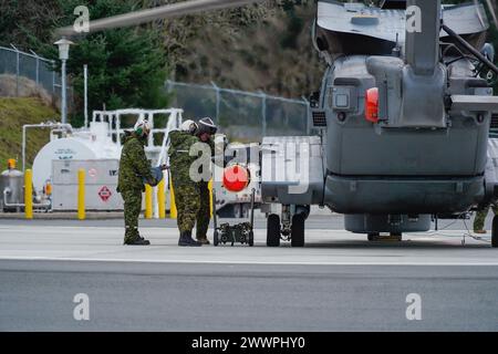 Il personale della Canadian Air Force carica un siluro da esercitazione MK46 su un CH-148 Cyclone presso la struttura Canadian Forces Maritime Experimental and test Ranges il 13 febbraio 2024. CFMETR è un centro di test congiunto canadese-statunitense situato sul lato est dell'isola di Vancouver, nella riparata baia di Nanoose. Foto Stock