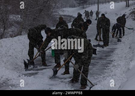 I Marines degli Stati Uniti e della Repubblica di Corea sgombrano la neve per liberare un sentiero durante la Viper 24,1 in Corea a Pyeongchang, Repubblica di Corea, 15 febbraio 2024. Nella sua prima iterazione, Korea Viper dimostra la capacità del ROK-US Marine Corps di rispondere in modo decisivo nella regione come una forza unica e unificata, rafforzando al contempo le relazioni e la fiducia tra i due alleati. I Marines con il Battaglione 2d, 7th Marines. 2/7 è schierato in avanti nell'Indo-Pacifico sotto il 4th Marine Regiment, 3d Marine Division come parte del programma di dispiegamento dell'unità. Corpo dei Marine Foto Stock