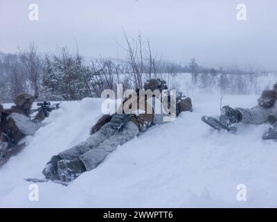 US Marines con Bravo Company, 1st Battalion, 2nd Marine Regiment, 2nd Marine Division, conducono un campo di manovra di fuoco vivo di plotone in preparazione all'esercitazione NATO Nordic Response 24 a Setermoen, Norvegia, 20 febbraio 2024. Nordic Response è un'esercitazione norvegese di preparazione e difesa nazionale progettata per migliorare le capacità militari e la cooperazione alleata in combattimenti ad alta intensità in un ambiente artico impegnativo. Questa esercitazione metterà alla prova le attività militari che vanno dall'accoglienza dei rinforzi alleati e dei partner e dall'interoperabilità di comando e controllo all'esecuzione congiunta combinata Foto Stock