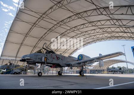 Un A-10C Thunderbolt II della U.S. Air Force, velivolo ammiraglia del 74th Fighter Squadron, siede sotto l'ombra della Moody Air Force base, Georgia, 20 febbraio 2024. L'Aircraft 78-0674 fu l'ammiraglia della 74th FS dal 1996-2024 e si ritirò al "Boneyard" presso la Davis-Monthan Air Force base, Arizona, 27 febbraio 2024. Aeronautica militare Foto Stock