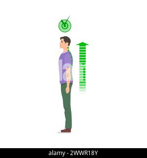 Uomo in posizione eretta con corretta postura della colonna vertebrale. Salute della colonna vertebrale, buona posa corpo illustrazione vettoriale del cartone animato Illustrazione Vettoriale