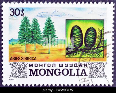 Francobollo cancellato stampato dalla Mongolia, che mostra Abies sibirica, circa 1982. Foto Stock