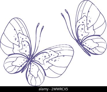 Delicate farfalle con motivi sulle ali, semplici, dolci, leggere, romantiche. Illustrazione disegnata graficamente a mano con inchiostro lilla in stile linea. Set (Imposta) Illustrazione Vettoriale