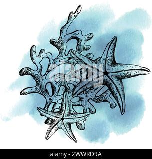 Scogliera sottomarina con animali marini stelle marine, conchiglie, coralli e alghe. Illustrazione grafica disegnata a mano con inchiostro nero. Vettore EPS composizione. Illustrazione Vettoriale