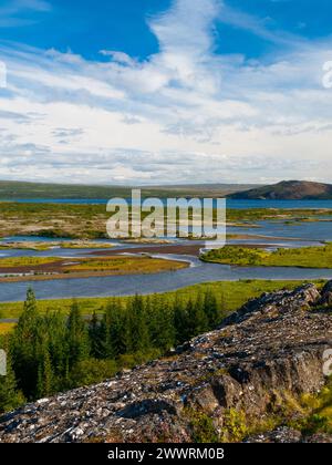 Paesaggio con laghi, prati e alberi, parco nazionale di Thingvellir, Islanda Foto Stock