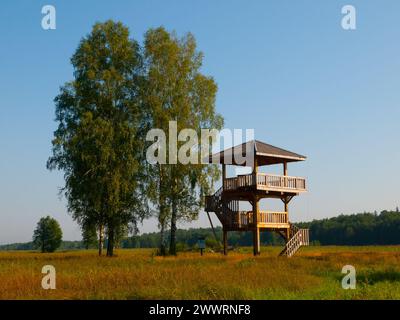 Torre di osservazione in legno vicino alla foresta primordiale di Bialowieza (Polonia) Foto Stock