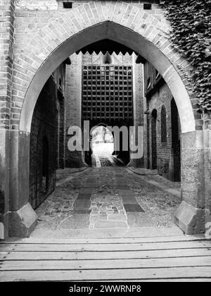 Porta medievale del castello con barre di ferro. Immagine in bianco e nero. Foto Stock