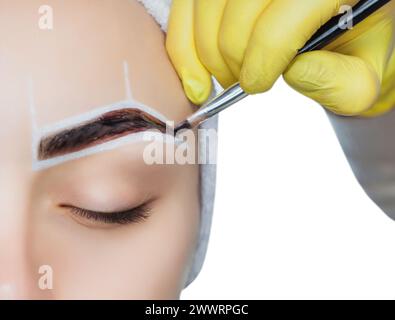 L'artista del trucco applica un colorante per sopracciglia sulle sopracciglia di una giovane ragazza. Cura professionale del viso. Foto Stock