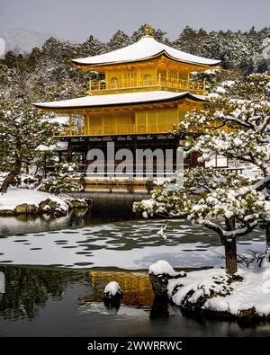 La pagoda dorata buddista zen (Kinkakuji) di Kyoto, in Giappone, coperta di neve con riflessi nel lago. La zona è coperta da una neve pesante e rara. Foto Stock