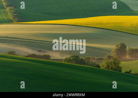 Aratura del trattore su un terreno in pendenza Foto Stock