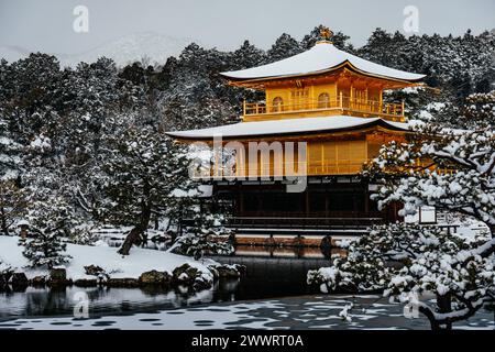 La pagoda dorata buddista zen (Kinkakuji) di Kyoto, in Giappone, coperta di neve con riflessi nel lago. La zona è coperta da una neve pesante e rara. Foto Stock
