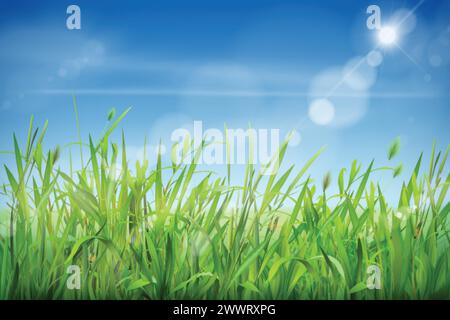 Cielo d'erba realistico. Paesaggio di prati verdi e nuvole, prato soffice che cresce piante da giardino, prati di campagna, vegetazione verde primaverile o estiva, illustrazione vettoriale esatta del paesaggio prato Illustrazione Vettoriale