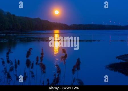 fiume Donau Danubio, luna piena che sorge vicino al parco nazionale Orth an der Donau Donau-Auen, Danubio-Donau Niederösterreich, bassa Austria Austria Foto Stock