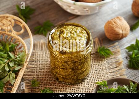 Pesto verde fatto in casa fatto di giovani foglie d'alga - una pianta commestibile selvatica raccolta all'inizio della primavera Foto Stock