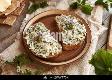 Due fette di pane a lievitazione naturale con burro di ortica - spalmabile fatto in casa con piante commestibili selvatiche in primavera Foto Stock