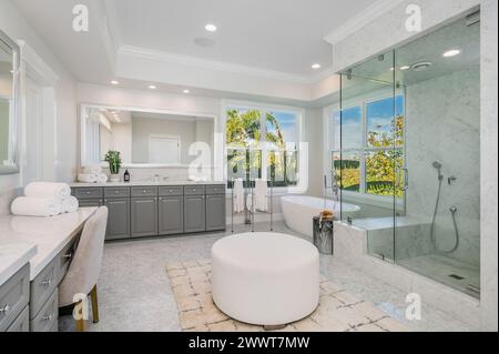 Bagno moderno con cabina doccia, vasca e vista finestra Foto Stock