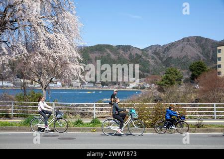 Madre e bambini pedalando in bicicletta sul lago Kawaguchiko a Fujikawaguchiko in Giappone, con alberi di ciliegio in fiore e cielo blu, regione di cinque laghi Foto Stock