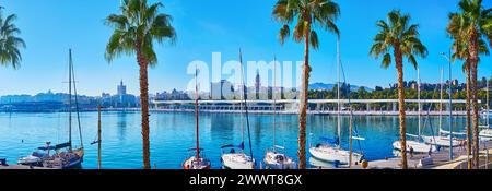 Panorama con palme alte, che cresce sul lungomare Muelle uno nel porto di Malaga, Spagna Foto Stock