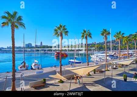 Muelle uno con palme alte e vista su yacht e barche nel porto di Malaga, Spagna Foto Stock