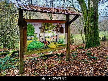 Exmoor pony (Equus przewalskii F. caballus), scheda informativa nel Parco naturale Silvopasture Solling-Vogler, Germania, bassa Sassonia, Northeim Foto Stock