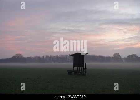 Posto alto in un paesaggio di campagna nella nebbia mattutina, Germania, Renania settentrionale-Vestfalia Foto Stock