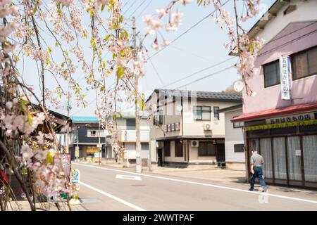 Akita, Giappone - 21 aprile 2023: Antico villaggio di Kakunodate con fiori di ciliegio Foto Stock