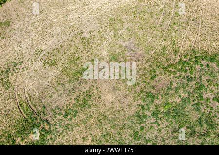 impronte degli pneumatici del trattore su un campo erboso a molla. vista dall'alto dal drone. Foto Stock