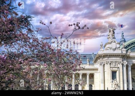 Parigi, il Grand Palais, splendido edificio in primavera, con un ciliegio Foto Stock