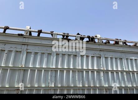 Renk, Sudan del Sud. 20 marzo 2024. I rifugiati provenienti dal Sudan vengono portati in camion dalla città di confine di Renk, nel Sudan del Sud, a un molo per continuare il loro viaggio verso la loro prossima destinazione. La lotta di potere in Sudan, in corso dalla metà di aprile 2023, ha scatenato la più grande crisi mondiale dei rifugiati, secondo le Nazioni Unite, con più di otto milioni di rifugiati. Mentre molte di queste persone cercano sicurezza dai combattimenti in Sudan, altre sono fuggite nei paesi vicini del Sudan del Sud o del Ciad. Crediti: Eva-Maria Krafczyk/dpa/Alamy Live News Foto Stock