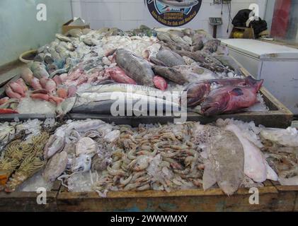 Fische im Fischmarkt von Hurghada, Ägypten Foto Stock