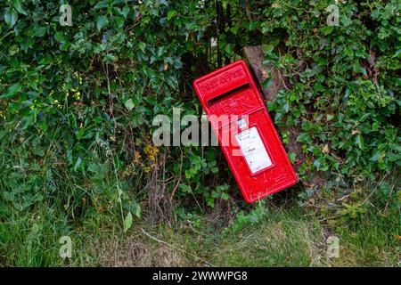 Sul lato di una strada di campagna, una cassetta delle lettere delle poste britanniche di colore rosso brillante si inclina in un angolo eccentrico Foto Stock