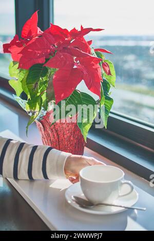 Una tranquilla alba è impreziosita da una tazza di caffè caldo. La luce del sole filtra attraverso la finestra, illuminando la scena e creando un'atmosfera di pace Foto Stock