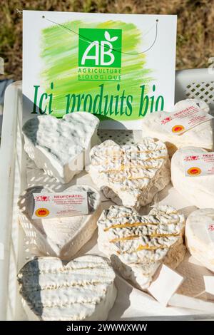 Mercato agricolo a Dampierre-en-Bray (Francia settentrionale): Agricoltura biologica, Neufchatel e Gournay produzione di formaggio biologico presso l'azienda di Hyaunet, Direct S Foto Stock