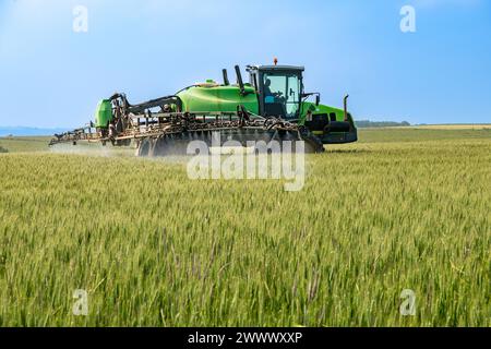 Trattamento fungicida spruzzato su un campo di grano con un polverizzatore semovente Tecnoma, presenza di erba coda di volpe e di ryegrass. Tocqueville-en-Caux (n Foto Stock