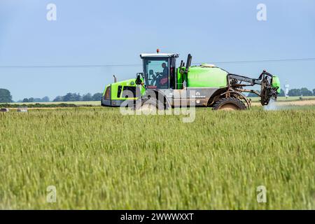 Trattamento fungicida spruzzato su un campo di grano con un polverizzatore semovente Tecnoma, presenza di erba coda di volpe e di ryegrass. Tocqueville-en-Caux (n Foto Stock