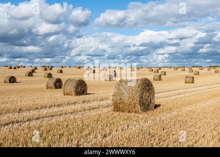 Fresne-le-Plan (Francia settentrionale): Balle di paglia in un campo dopo il raccolto e il cielo nuvoloso Foto Stock